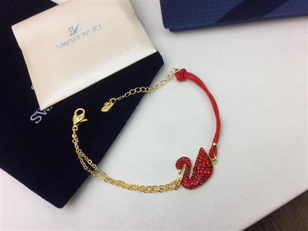 20242615450210 40404035